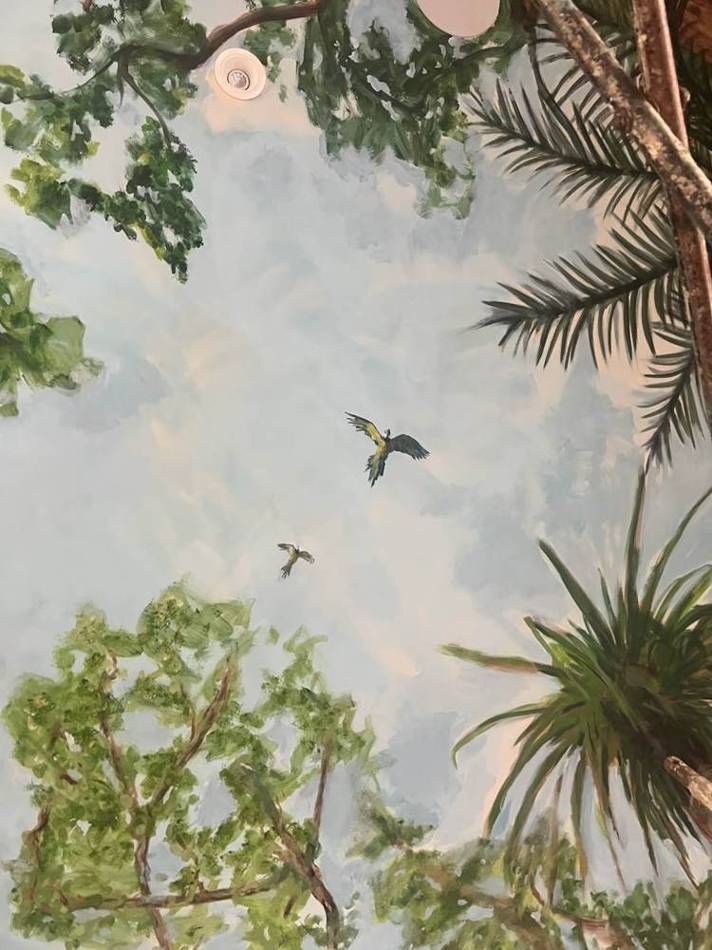 Detail of painted macaws in flight against sky